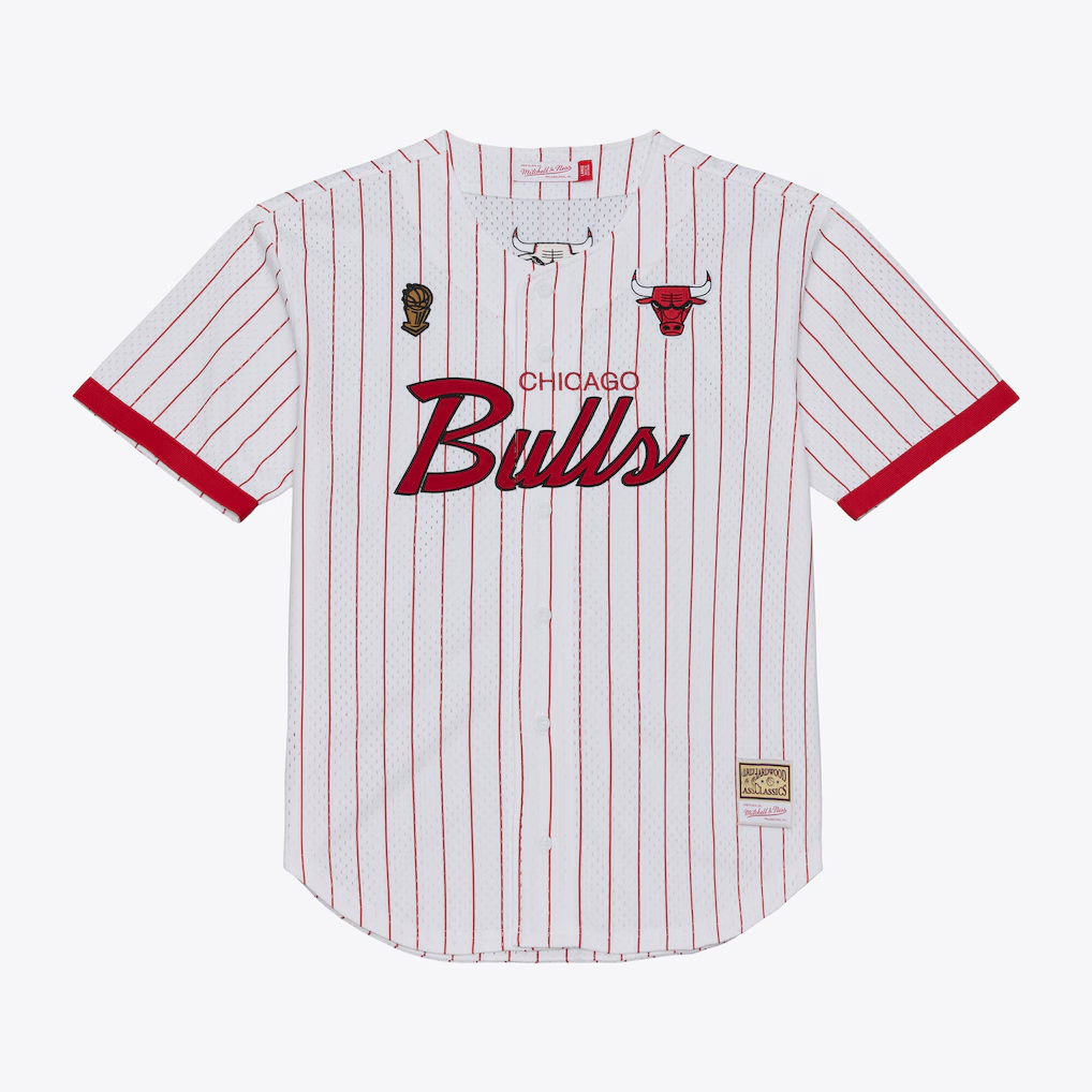 Ndoa C.Bulls Mitchell & Ness White Head Coach Pinstripe Mesh Full-Button Baseball Jerseys