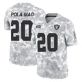 Ndoa LV.Raiders #20 Isaiah Pola-Mao Player Arctic Camo Salute To Service Limited Game Stitched Jerseys