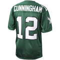 Ndoa P.Eagles 1992 #12 Randall Cunningham Mitchell & Ness Green Authentic Throwback Retired Player Stitched Puhic Jersey