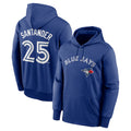 Ndoa T.Blue Jays #25 Anthony Santander Player Royal Performance Pullover Hoodie